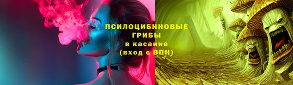 соль ск Балахна