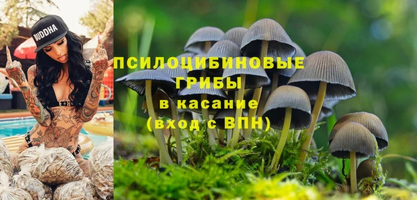 соль ск Балахна